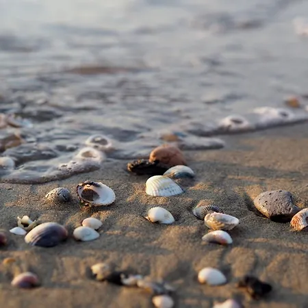 80m From The - Beahost Bibione